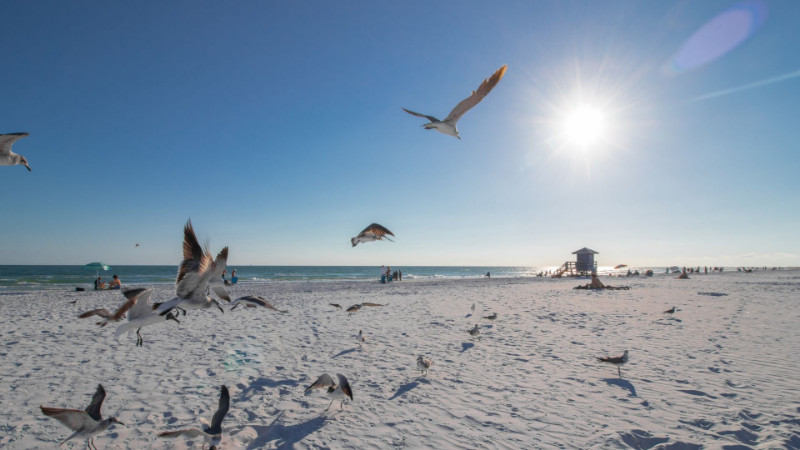 Barrier Islands